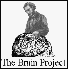 The Brain Project